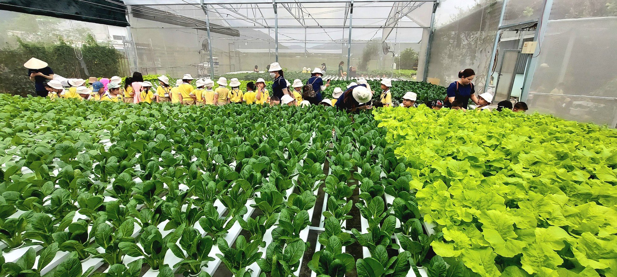 Khánh Hòa: 125 cơ sở Hội Nông dân đã hoàn thành Đại hội - Ảnh 3.