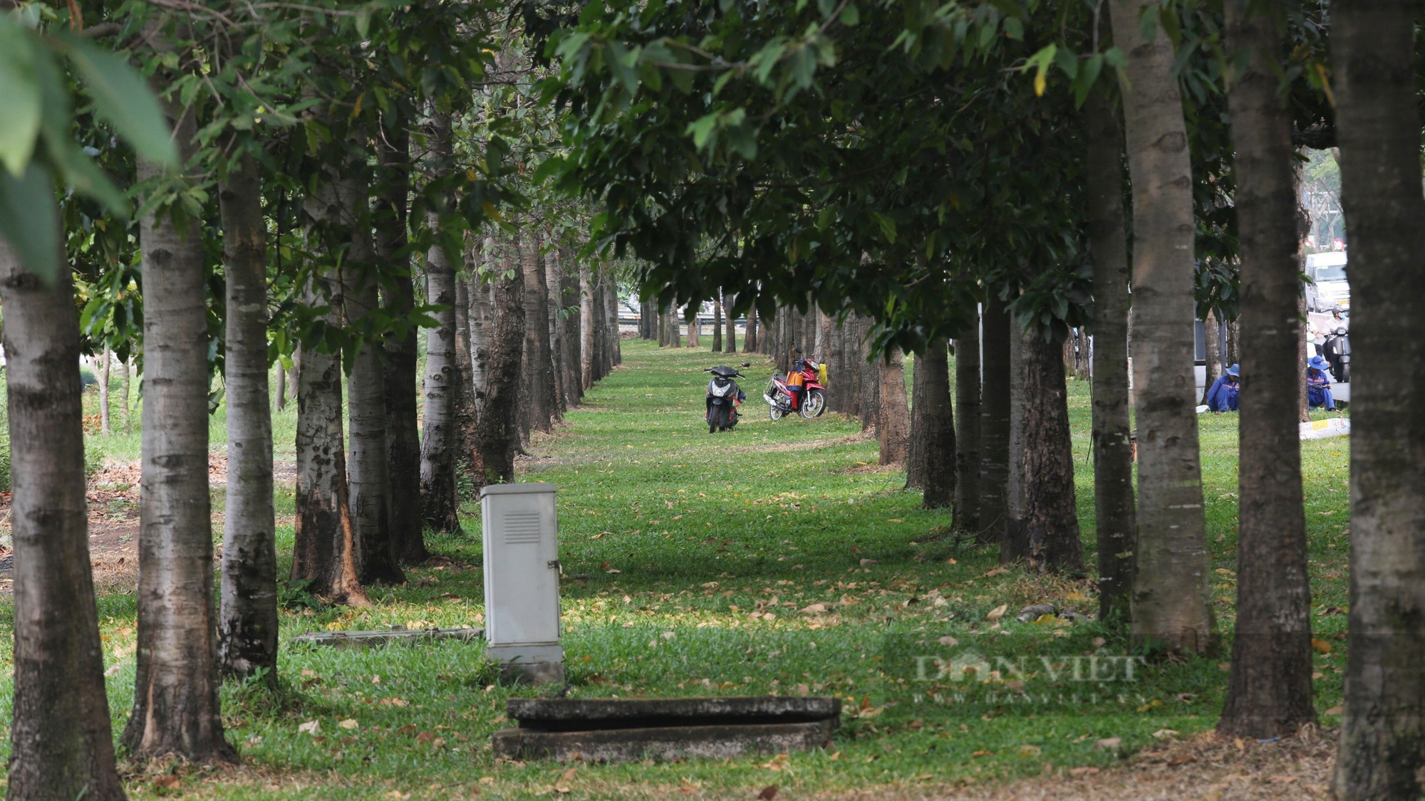 Nhà cao tầng san sát trên 8km Xa lộ Hà Nội mà TP.HCM muốn đặt tên đường Võ Nguyên Giáp - Ảnh 10.