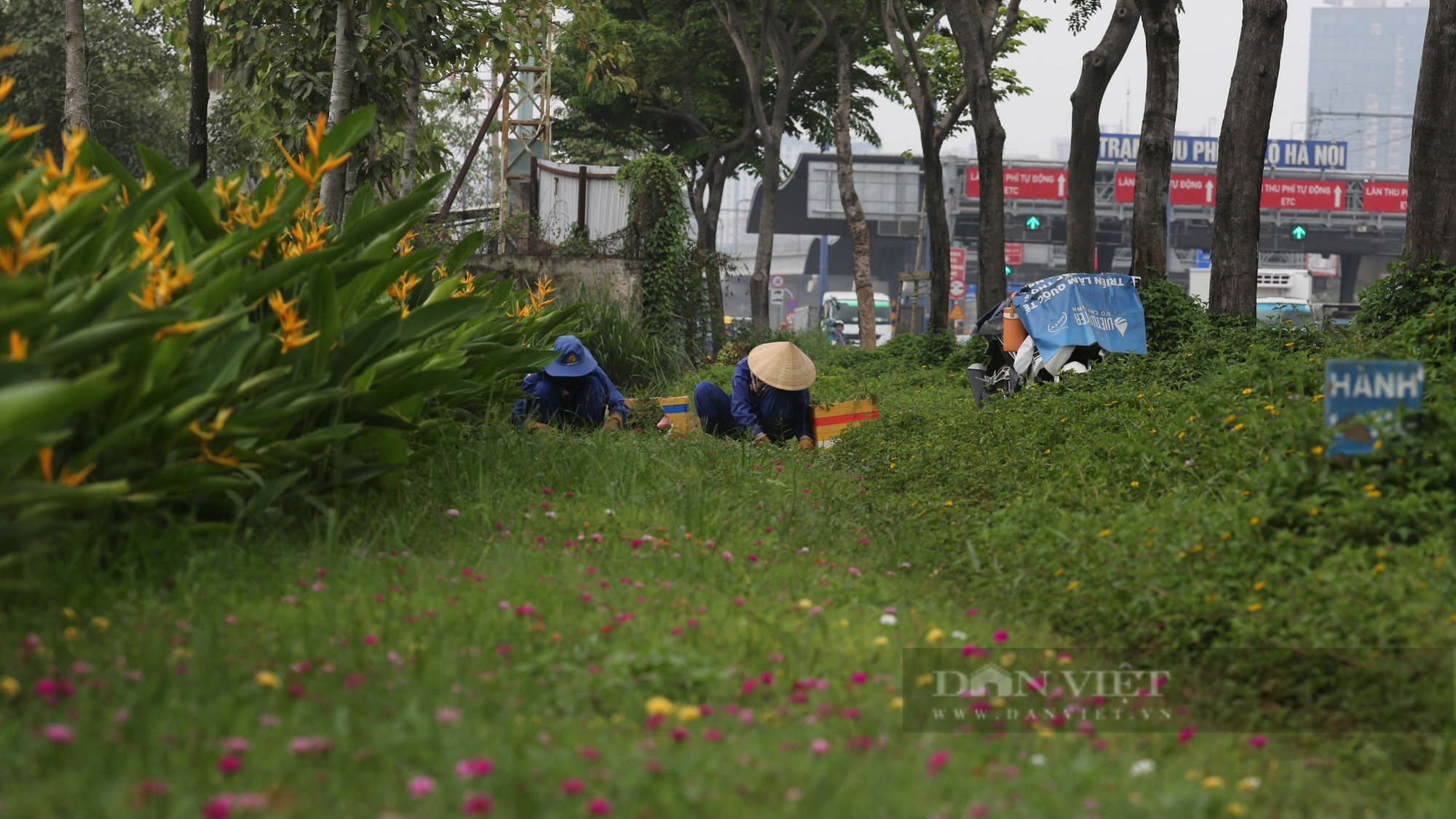 Nhà cao tầng san sát trên 8km Xa lộ Hà Nội mà TP.HCM muốn đặt tên đường Võ Nguyên Giáp - Ảnh 6.