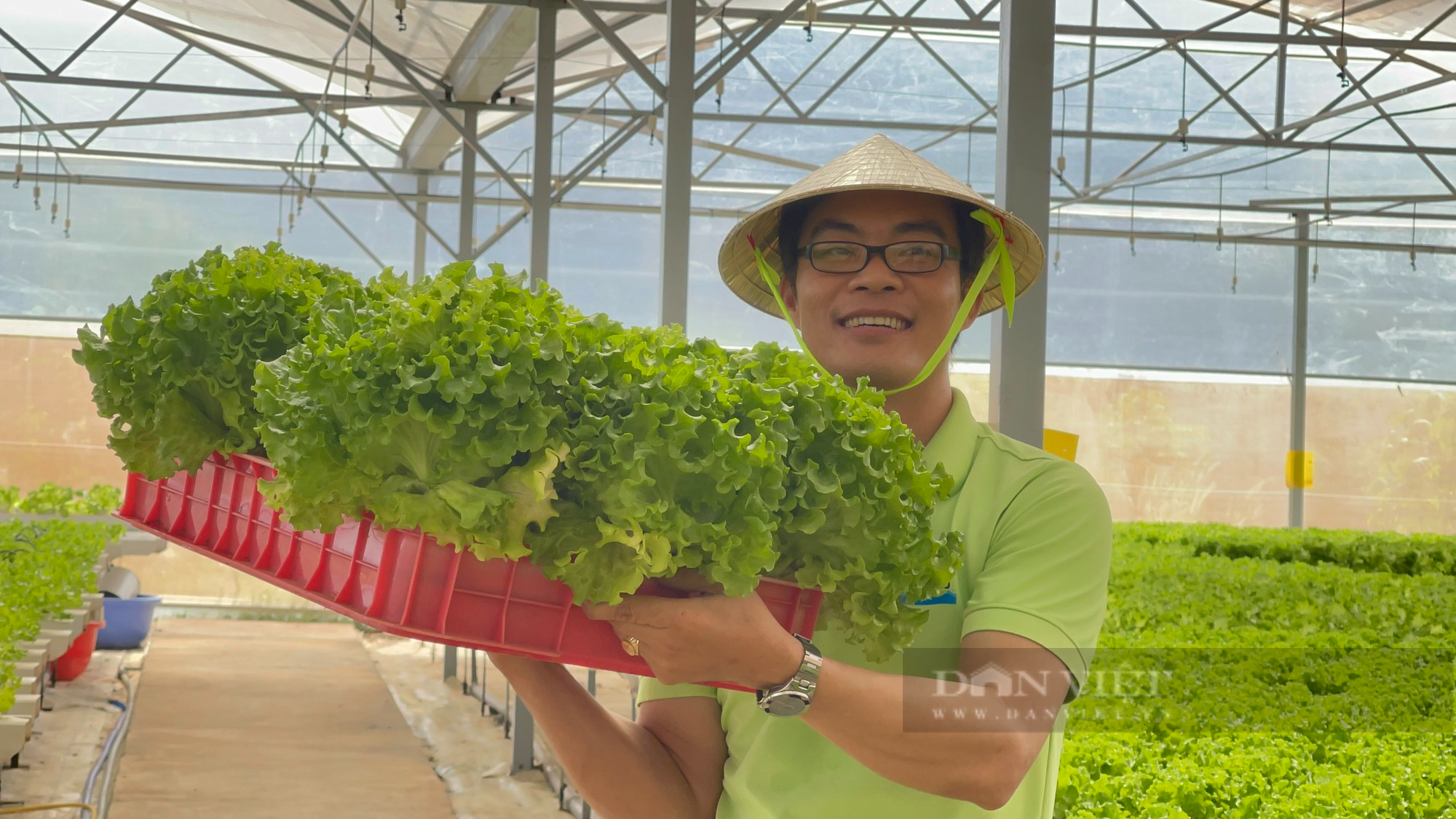 Đồng Nai: Ông chủ trang trại rau thủy canh, mới khởi nghiệp đã loay hoay tìm đầu ra cho rau sạch - Ảnh 2.