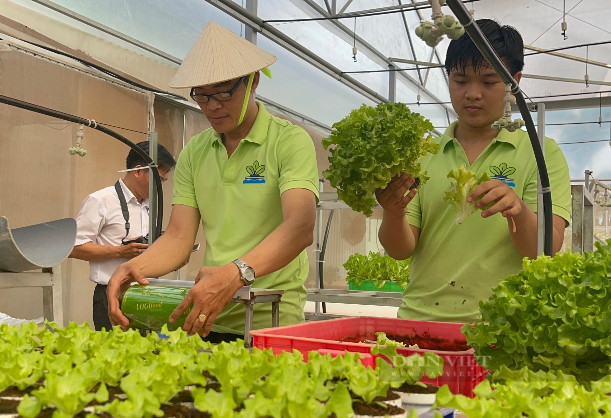 Đồng Nai: Ông chủ trang trại rau thủy canh, mới khởi nghiệp đã loay hoay tìm đầu ra cho rau sạch - Ảnh 3.