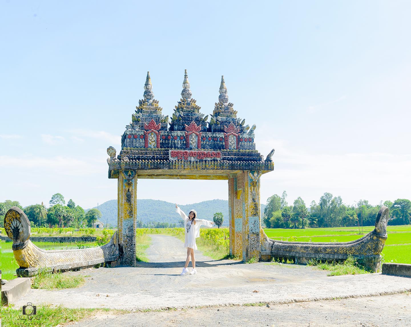 Ngôi chùa hồng nổi bật giữa hàng trăm cây còng  - Ảnh 11.