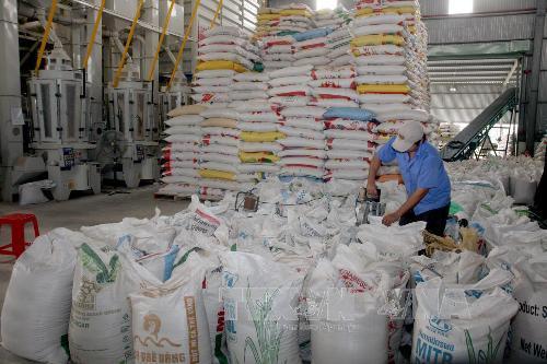 Định hướng phát triển ngành chế biến lương thực - thực phẩm bền vững  - Ảnh 2.