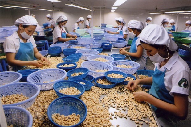 Định hướng phát triển ngành chế biến lương thực - thực phẩm bền vững  - Ảnh 1.