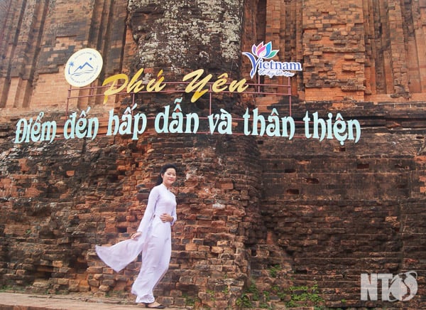 Dấu ấn văn hóa Champa trên Tháp Nhạn ở Phú Yên - Ảnh 7.