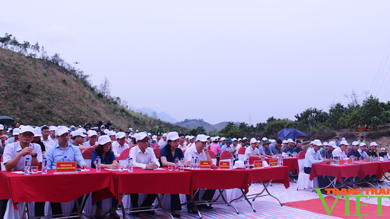 Sơn La: Bao trái cây phục vụ tiêu thụ và xuất khẩu - Ảnh 3. Sơn La: Bao trái cây phục vụ tiêu thụ và xuất khẩu - Ảnh 3.