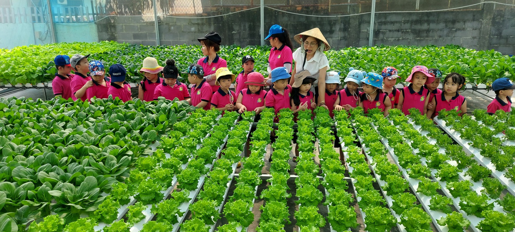 Ảnh ấn tượng tuần:  - Ảnh 4.