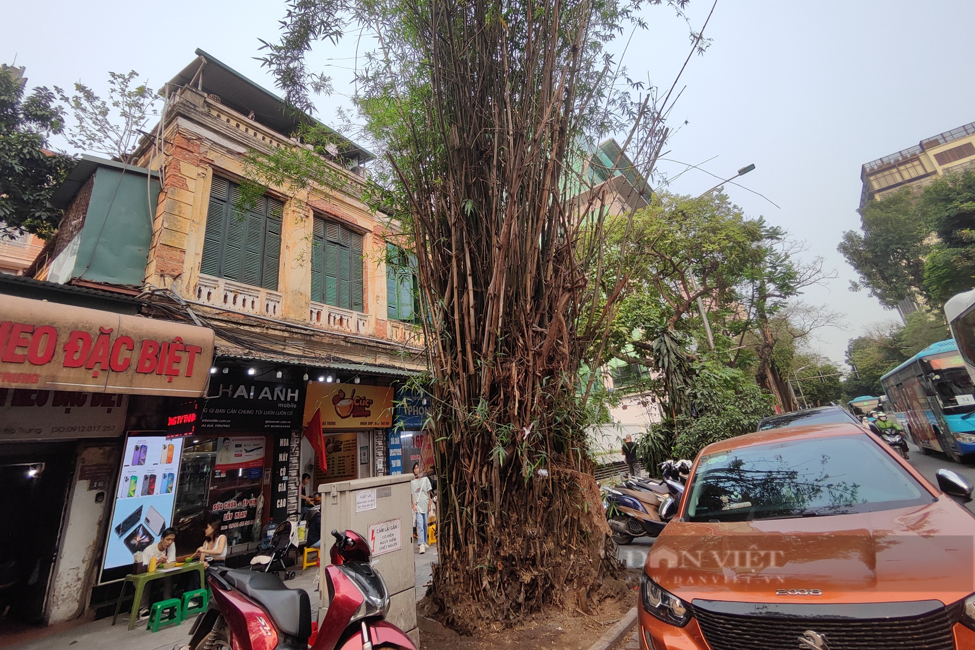 Quận Hoàn Kiếm: Ẩn họa từ những cây xanh chết khô chưa được chặt bỏ - Ảnh 11.