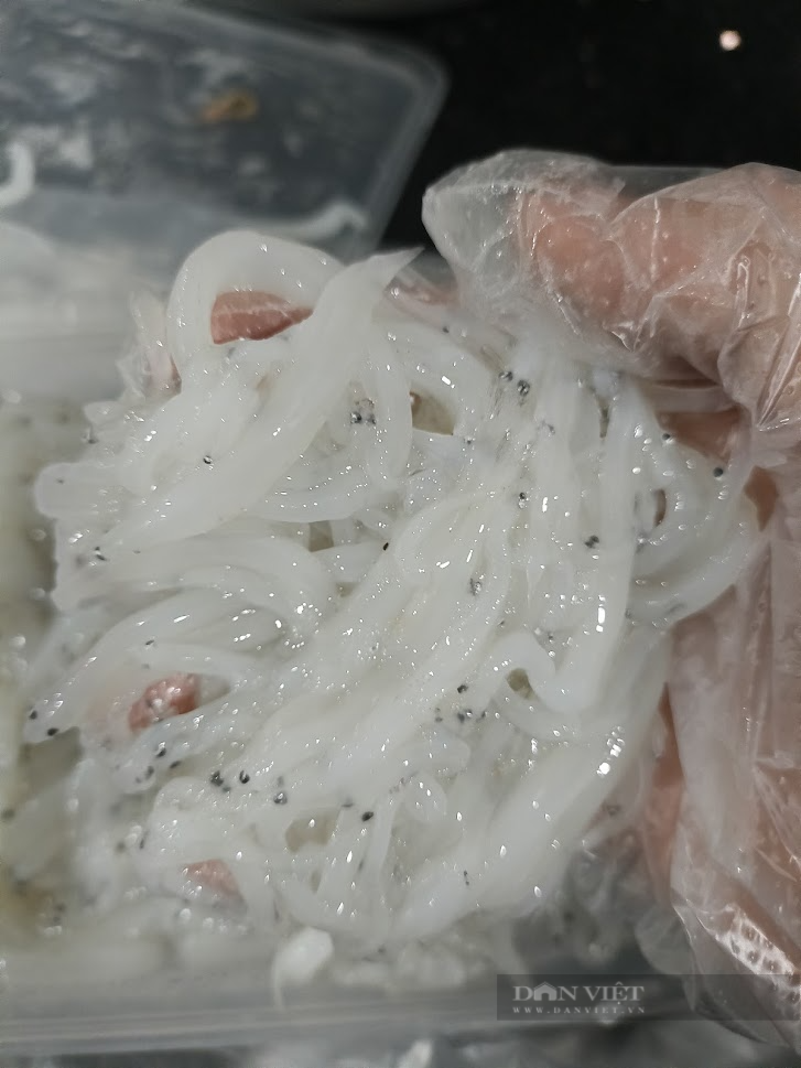 Loài cá bé tí không xương giàu đạm và omega 3, xưa cho chẳng ai lấy, giờ có tiền cũng khó mua - Ảnh 5.