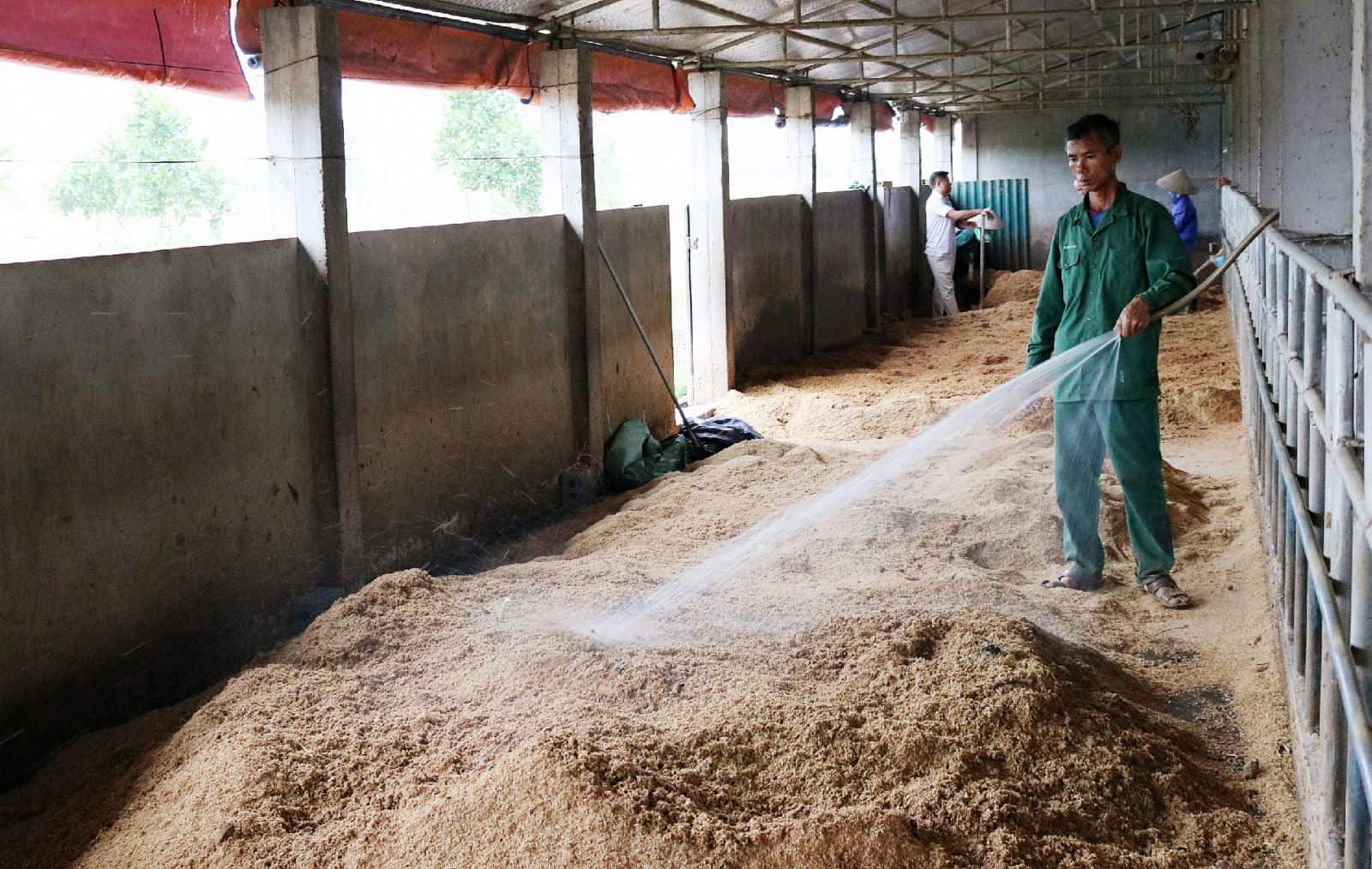 Gian nan xử lý lượng chất thải khổng lồ từ chăn nuôi  - Ảnh 1.