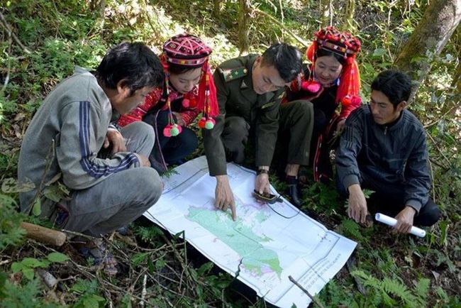 Điện Biên: Vì sao giao đất, giao rừng ở Mường Nhé vẫn chậm tiến độ? - Ảnh 1. Điện Biên: Vì sao giao đất, giao rừng ở Mường Nhé vẫn chậm tiến độ? - Ảnh 1.