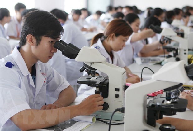 Miễn thuế thu nhập cá nhân 5 năm cho người tài ở TP.HCM có là giải pháp đột phá? - Ảnh 2.