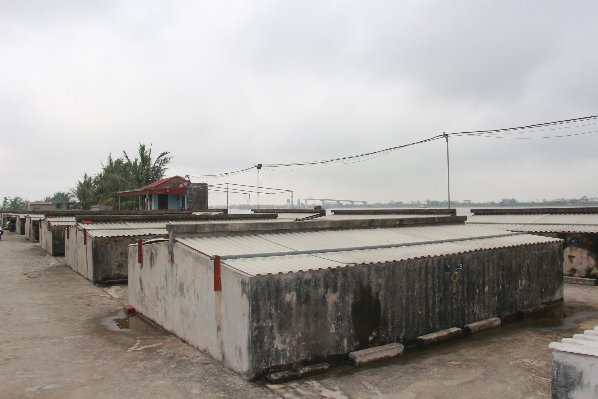 Thu nhập trên 1 tỷ đồng nhờ sản xuất nước mắm, mắm tôm theo phương pháp truyền thống - Ảnh 3.