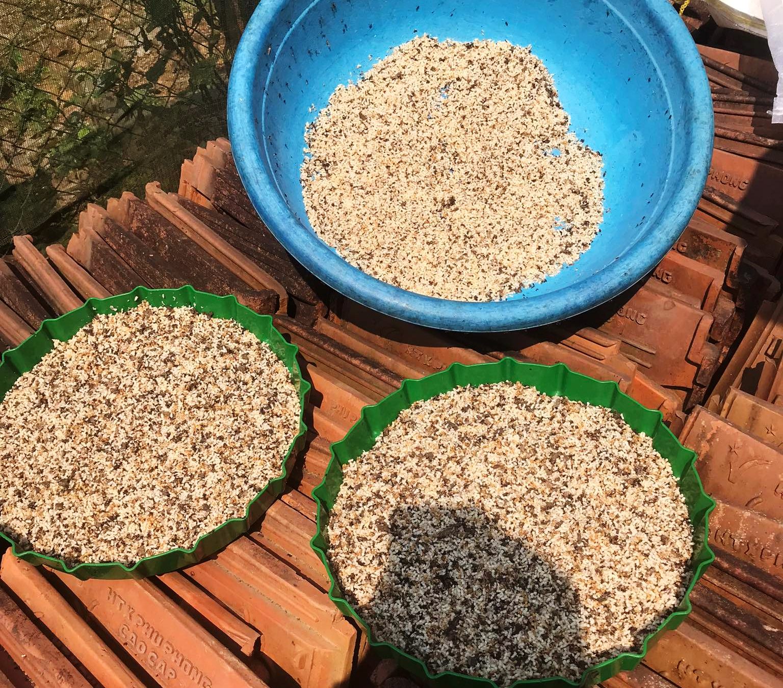 Quảng Bình: Kiếm “lộc trời” từ các cành cây, bụi rậm để đưa về chế biến đặc sản, mang ra ngoài chợ bán giá cao - Ảnh 4.