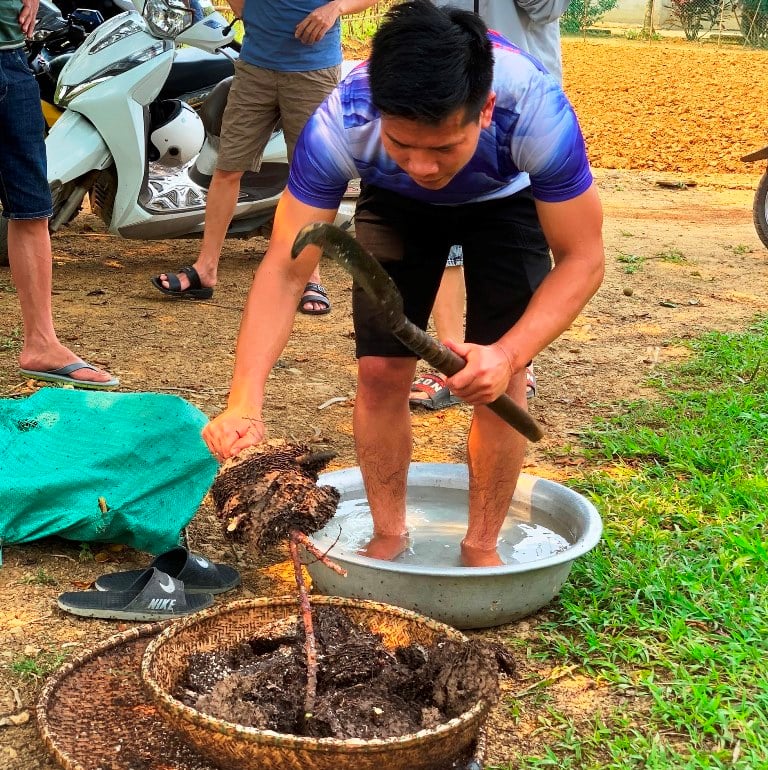 Quảng Bình: Kiếm “lộc trời” từ các cành cây, bụi rậm để đưa về chế biến đặc sản, mang ra ngoài chợ bán giá cao - Ảnh 2.