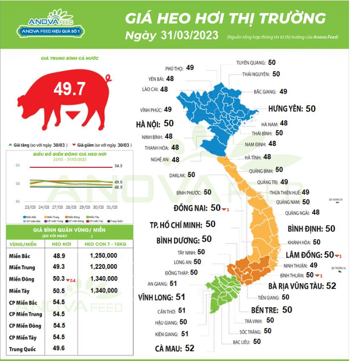 Ngành chăn nuôi lợn bao giờ thoát thế &quot;gọng kìm&quot;? - Ảnh 1.