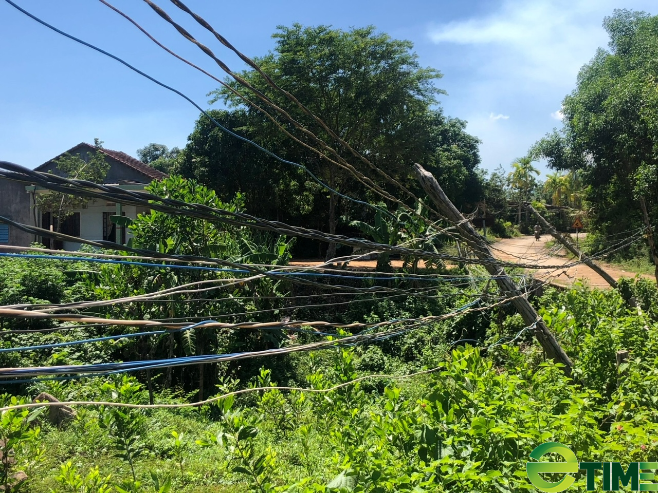 Quảng Ngãi huyện báo cáo gì cho tỉnh vụ công trình điện làm xong 3 năm chưa có điện? - Ảnh 2. Quảng Ngãi huyện báo cáo gì cho tỉnh vụ công trình điện làm xong 3 năm chưa có điện? - Ảnh 2.