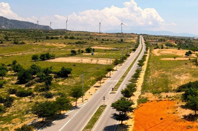 Kiểm điểm trách nhiệm nhiều tổ chức, cá nhân để xảy ra việc lấn chiếm đất ven biển Ninh Thuận - Ảnh 4.