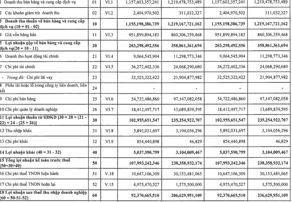 Nguyên nhân khiến Navico báo lãi quý I/2023 giảm tới 55% - Ảnh 1.