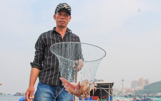 Bẫy loài cá mực cực ngon, dân biển Cô Tô kiếm tiền triệu/đêm - Ảnh 2.