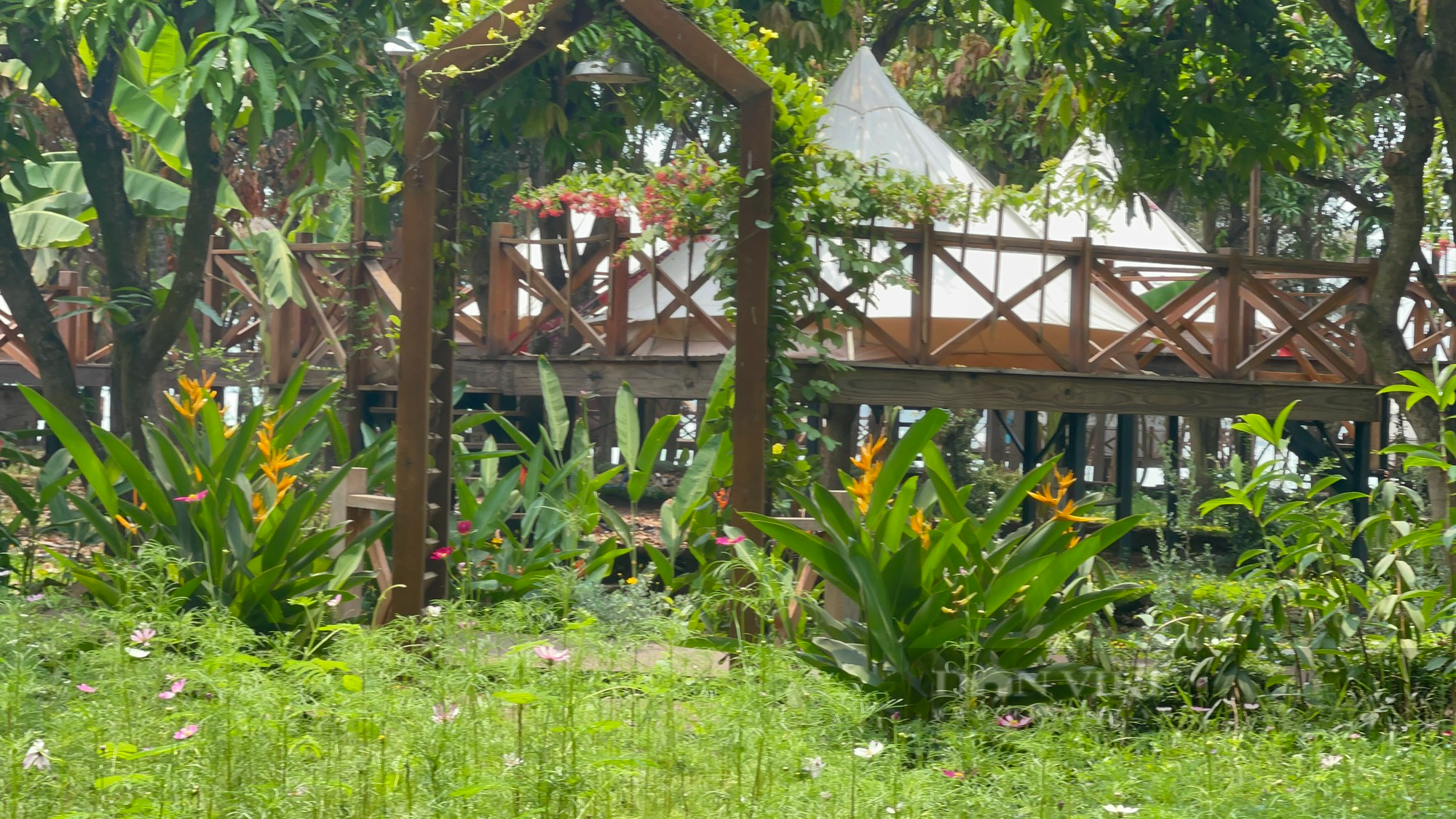 Du lịch tự phát ven hồ Trị An: Sợ ô nhiễm, xẻ thịt đất công và ảnh hưởng đến an ninh quốc phòng - Ảnh 7.