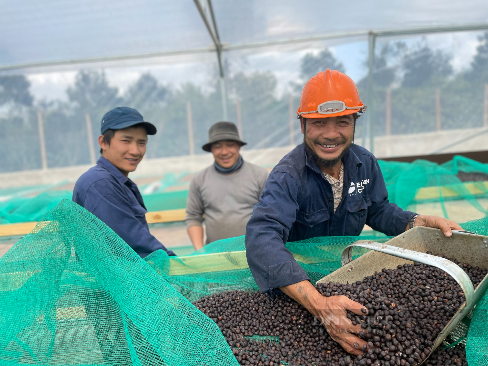 Sự kiện đấu giá cà phê đặc sản lần đầu tiên tổ chức tại Việt Nam - Ảnh 2.