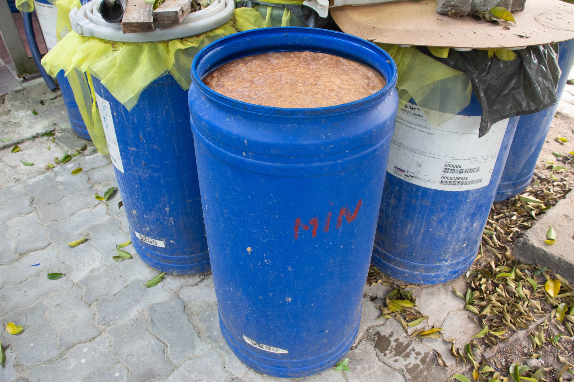 Biến những mẫu dừa khô thành tranh giấy thu hút vạn người - Ảnh 2.