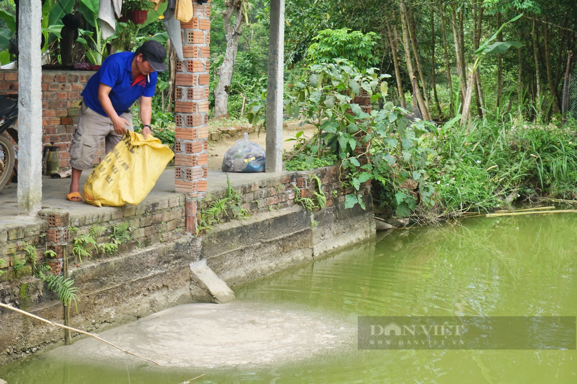 Vượt qua quá khứ lầm lỡ, vợ chồng nông dân Quảng Nam làm giàu trên mảnh đất khô cằn - Ảnh 7.