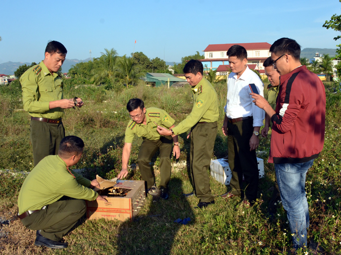 Điện Biên: Ngăn chặn đưa đặc sản thú rừng lên bàn nhậu. - Ảnh 2.