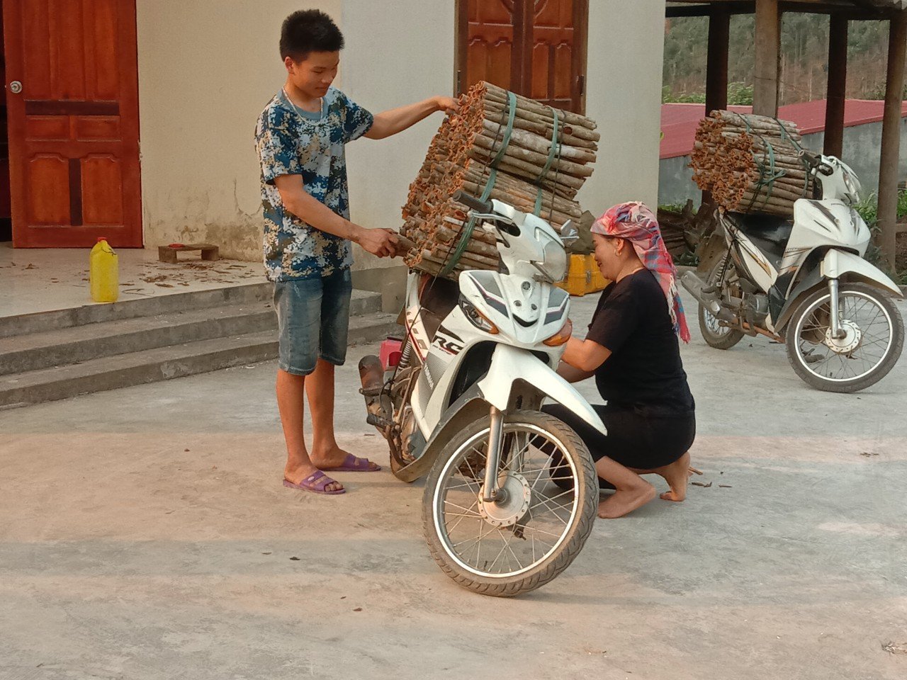 Trồng rừng cây quý bán từ lá tới vỏ, tới mùa thương lái đổ về thu mua, nông dân thu tiền tươi - Ảnh 3.