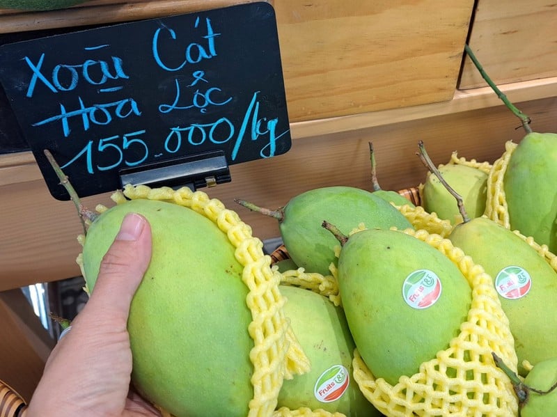 Xoài cát Hòa Lộc rớt giá còn 30.000 đồng/kg - Ảnh 1.