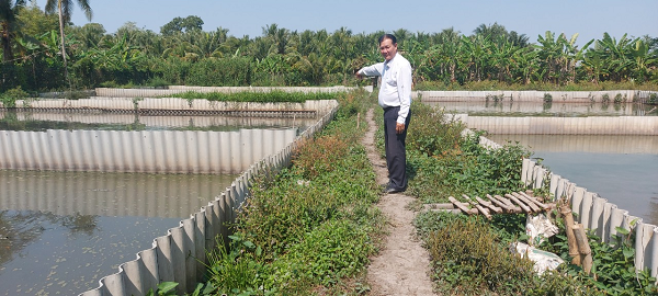 Nuôi loài đặc sản tối ngày lặn dưới ao, hễ đẻ là mò lên cạn, ông nông dân Hậu Giang bán đắt hàng - Ảnh 3.