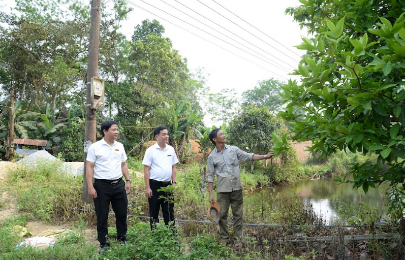 Mạnh dạn rời đồng bằng lên núi lập nghiệp, nông dân ở Quảng Nam thu lãi hàng trăm triệu đồng - Ảnh 1.