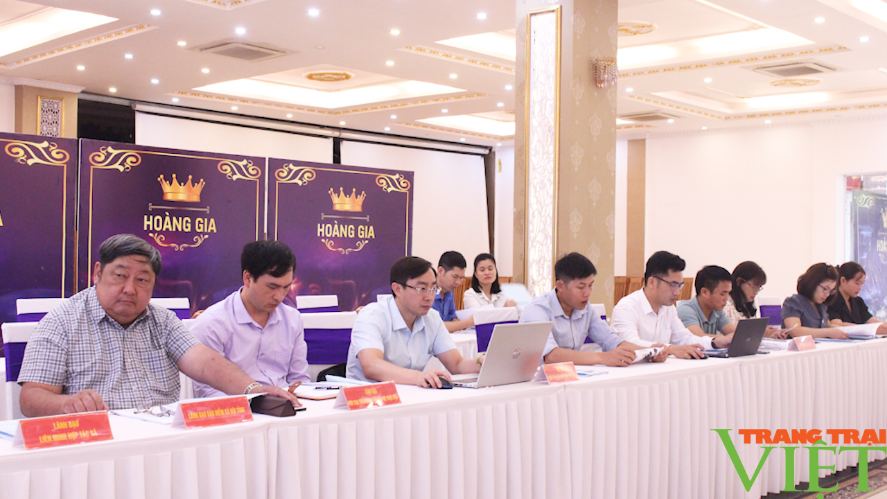 Chương trình FFF - Liên kết phát triển nông nghiệp bền vững ở Sơn La - Ảnh 7. Chương trình FFF - Liên kết phát triển nông nghiệp bền vững ở Sơn La - Ảnh 7.