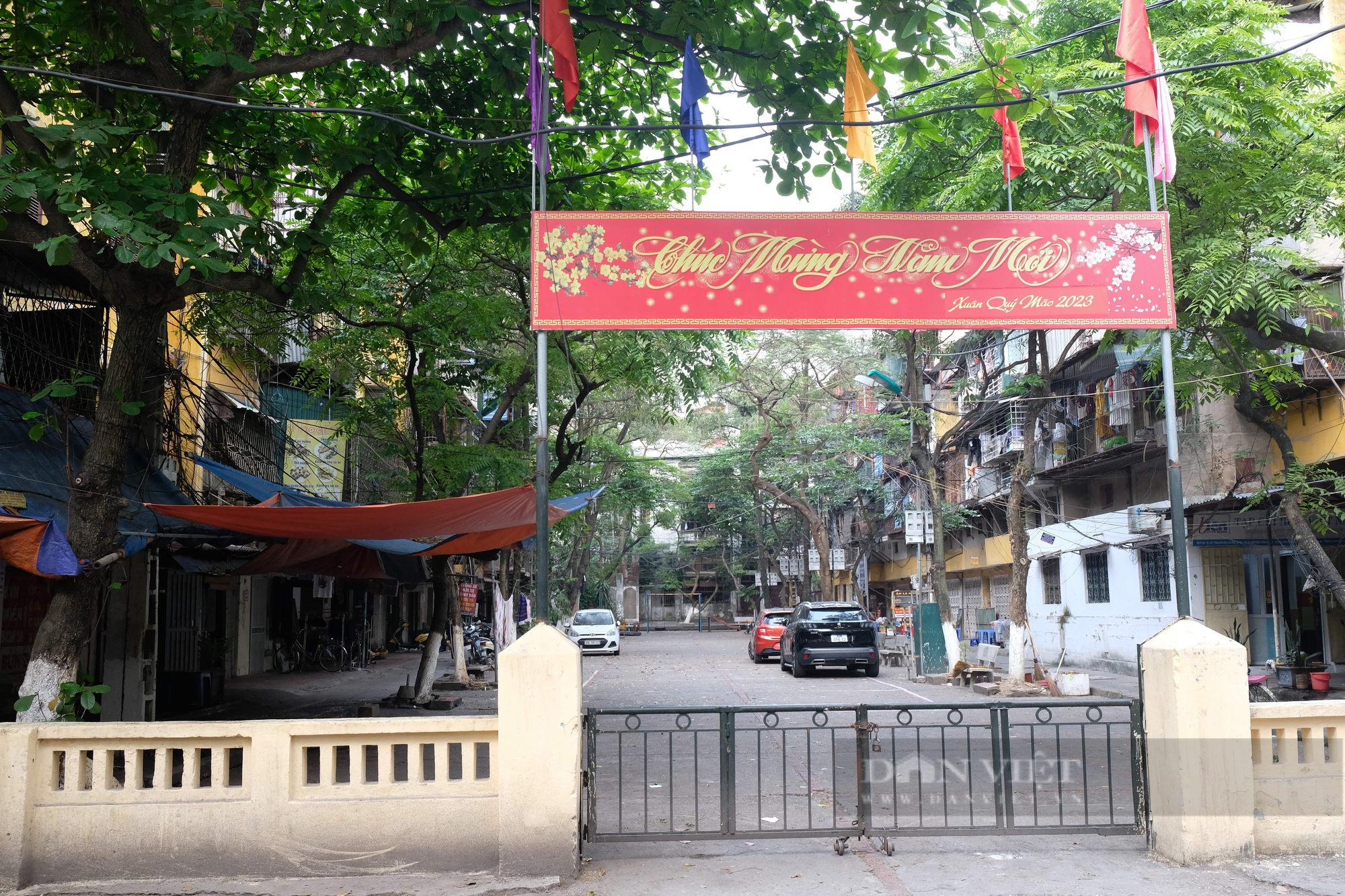 Khu tập thể xuống cấp, cây xanh mọc trên tường ở Hà Nội - Ảnh 1.