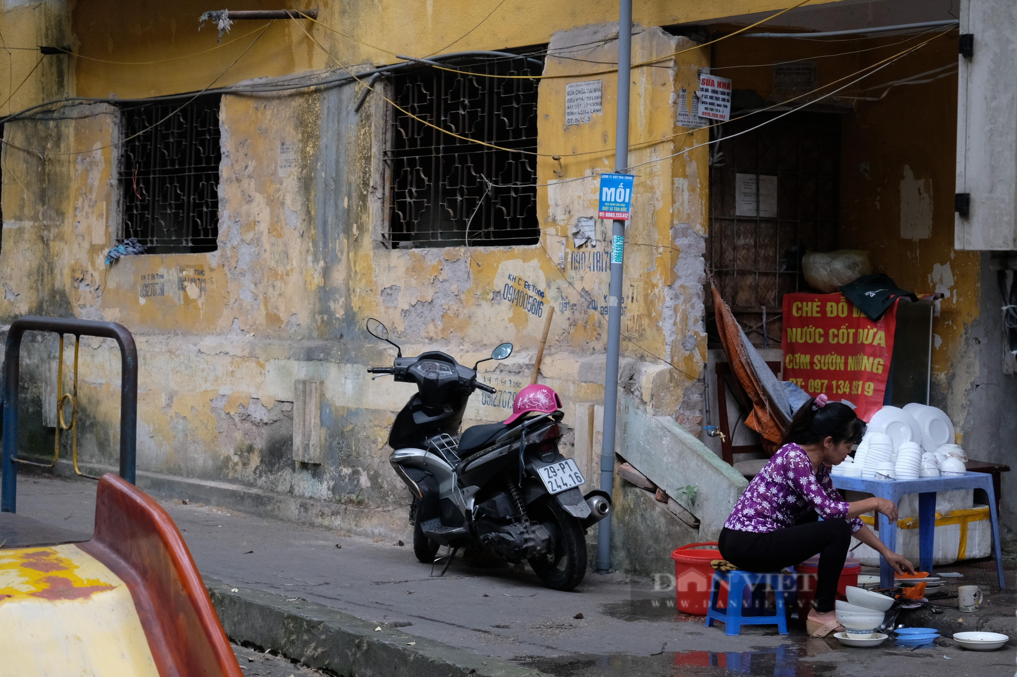 Khu tập thể xuống cấp, cây xanh mọc trên tường ở Hà Nội - Ảnh 3.