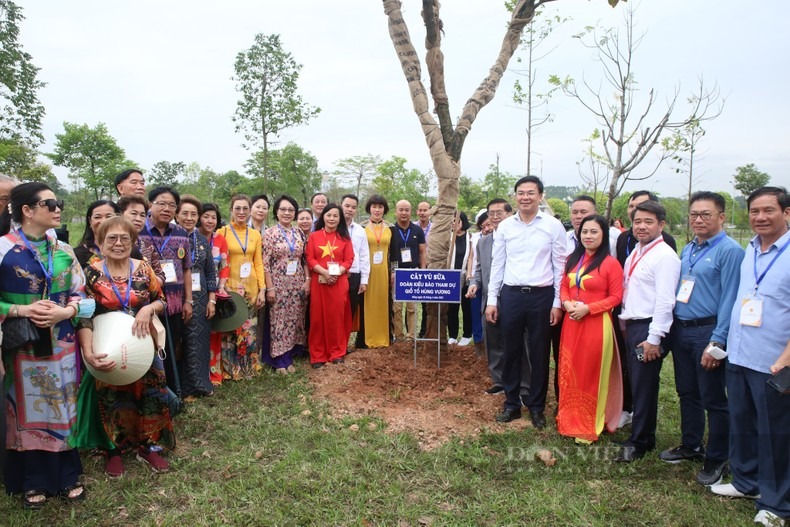 Hướng về nguồn cội, đoàn kiều bào về dâng hương tri ân các Vua Hùng - Ảnh 7.