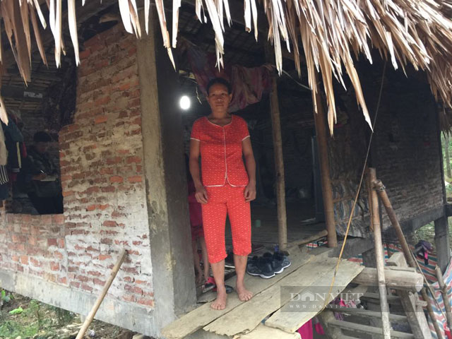 giảm nghèo hộ cận nghèo, hộ nghèo 