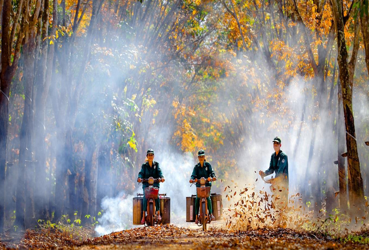 Cao su Tân Biên (RTB) lãi gần 70 tỷ đồng trong quý I/2023 - Ảnh 1.