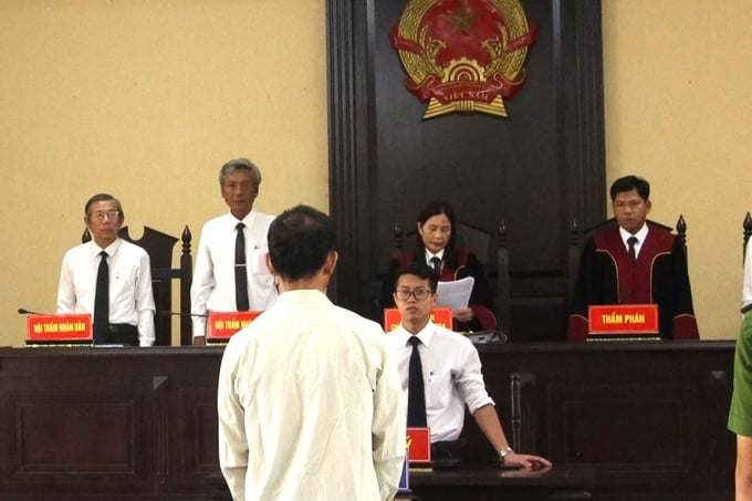 Lĩnh án vì xâm hại con riêng của bạn gái - Ảnh 1.