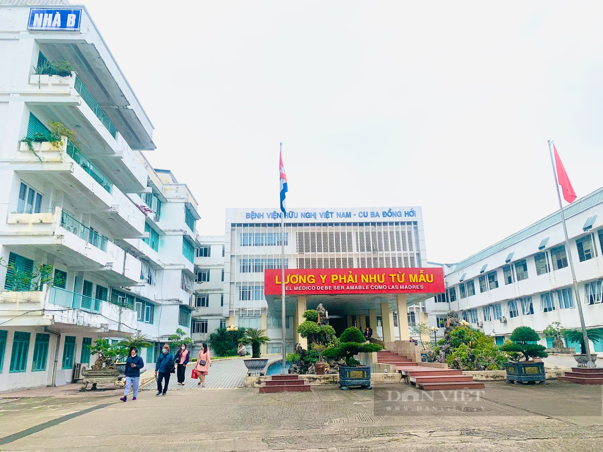 Quảng Bình: 3 người Bru - Vân Kiều ăn thịt cóc suýt chết đã ra viện - Ảnh 2.