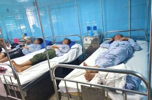 Quảng Bình: 3 người Bru - Vân Kiều ăn thịt cóc suýt chết đã ra viện - Ảnh 1.