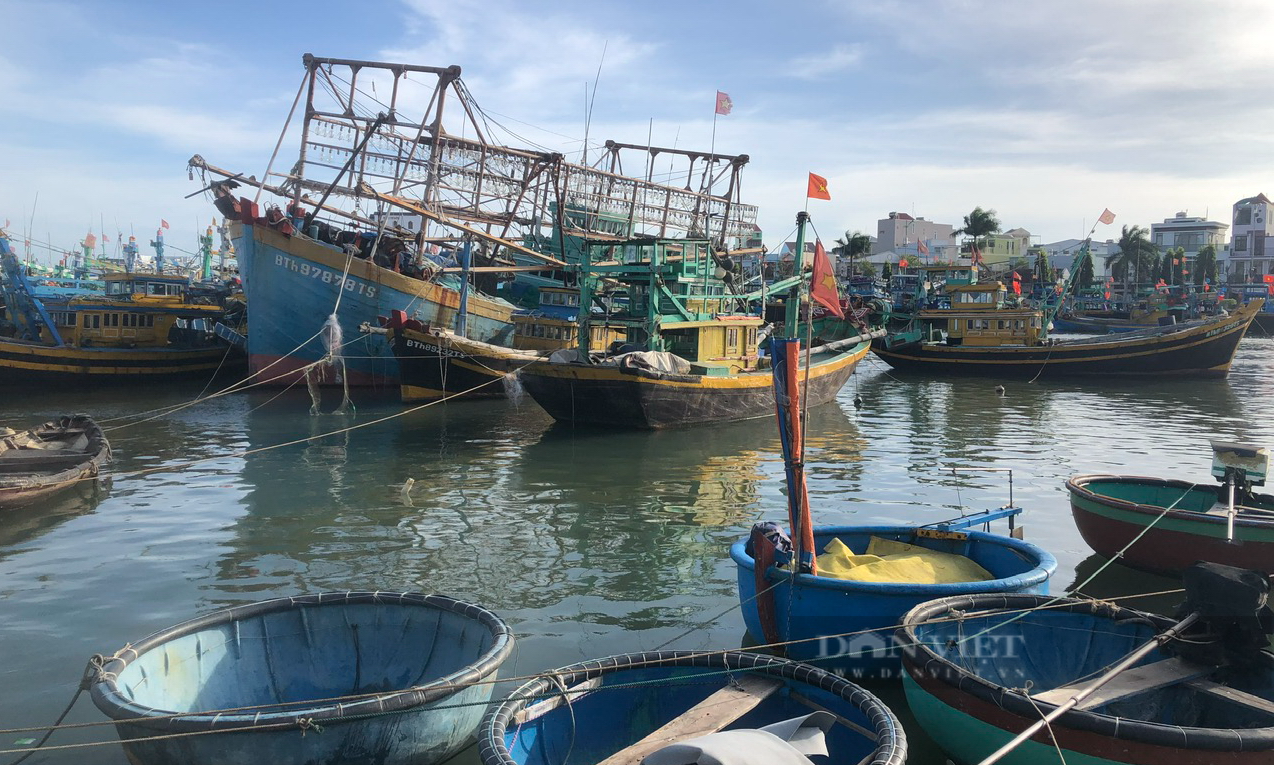 Một tàu cá đánh bắt trái phép và bị bắt ở vùng biển nước ngoài, nhiều cơ quan, tổ chức phải kiểm điểm - Ảnh 3.