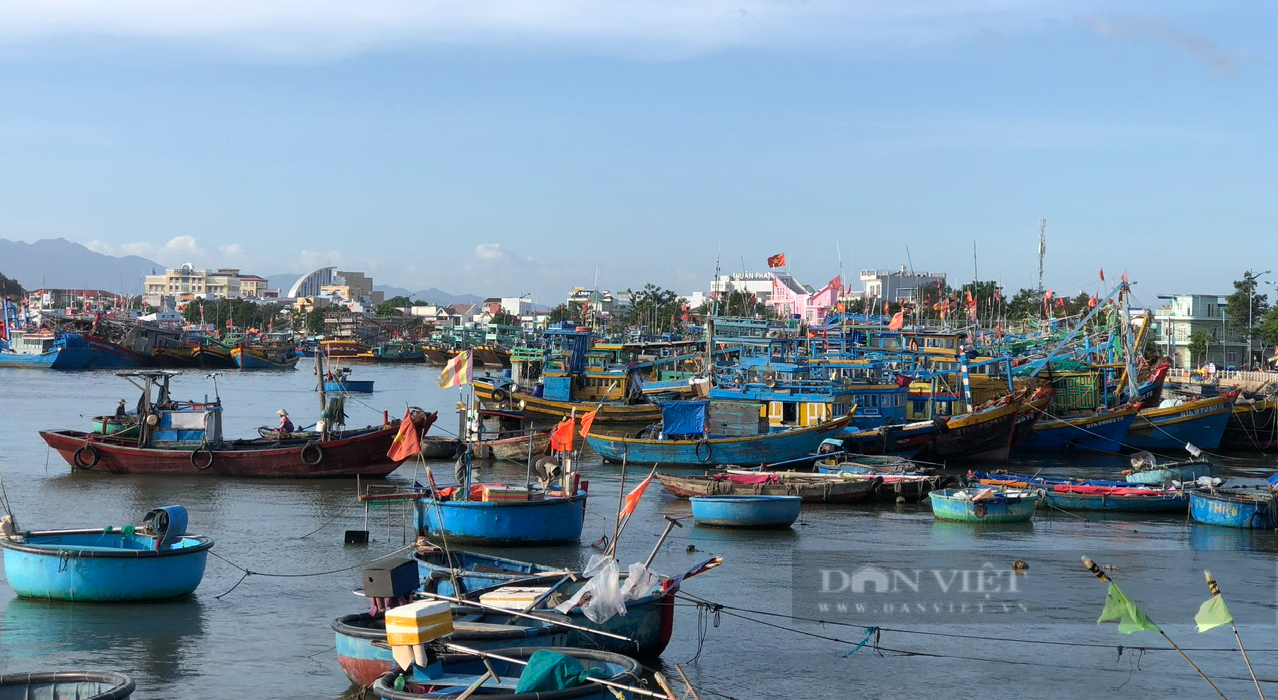 Một tàu cá đánh bắt trái phép và bị bắt ở vùng biển nước ngoài, nhiều cơ quan, tổ chức phải kiểm điểm - Ảnh 2.