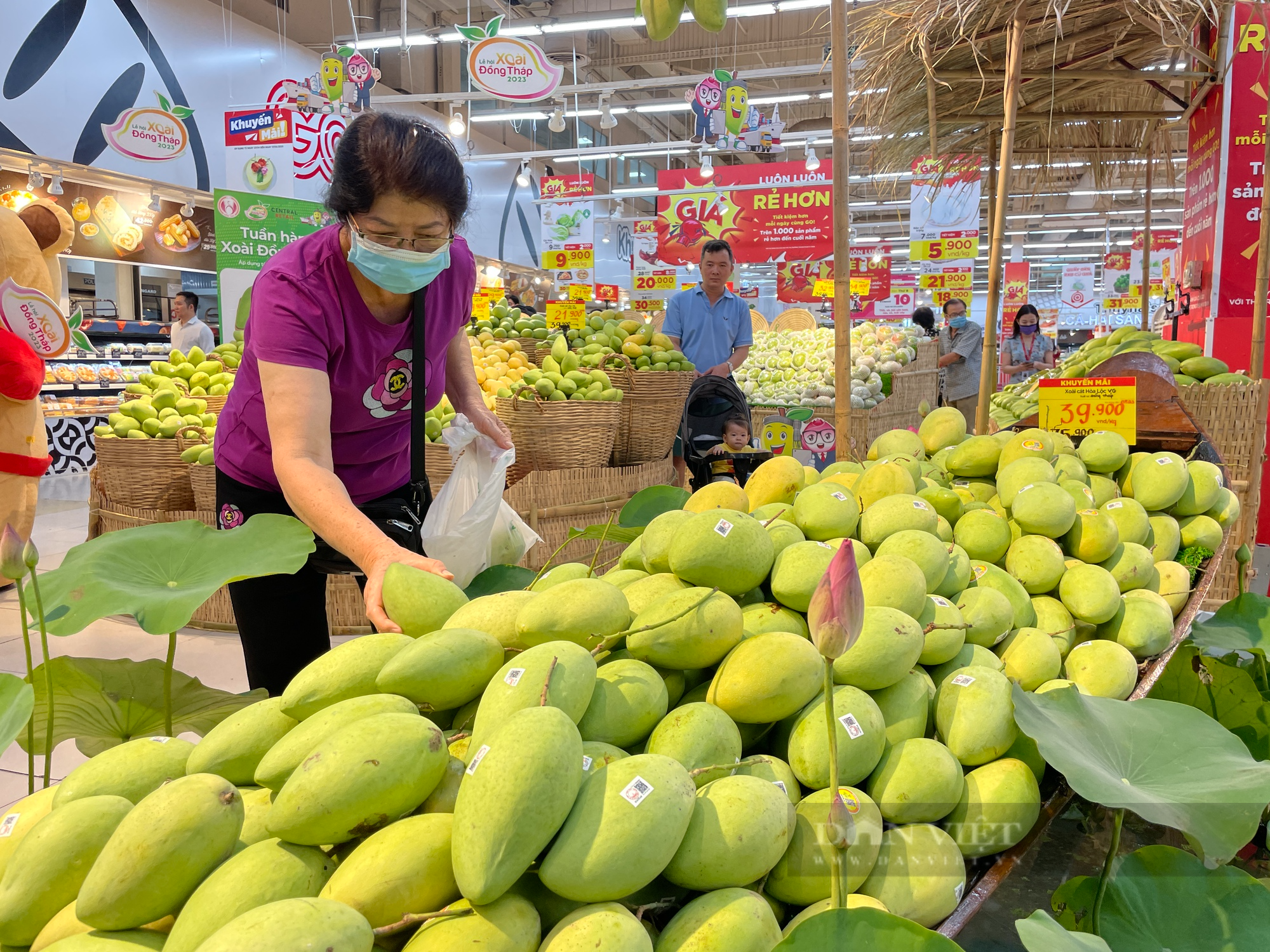 Đồng Tháp giới thiệu &quot;Tuần hàng xoài&quot; tại các siêu thị TP.HCM với giá sốc bất ngờ - Ảnh 1.