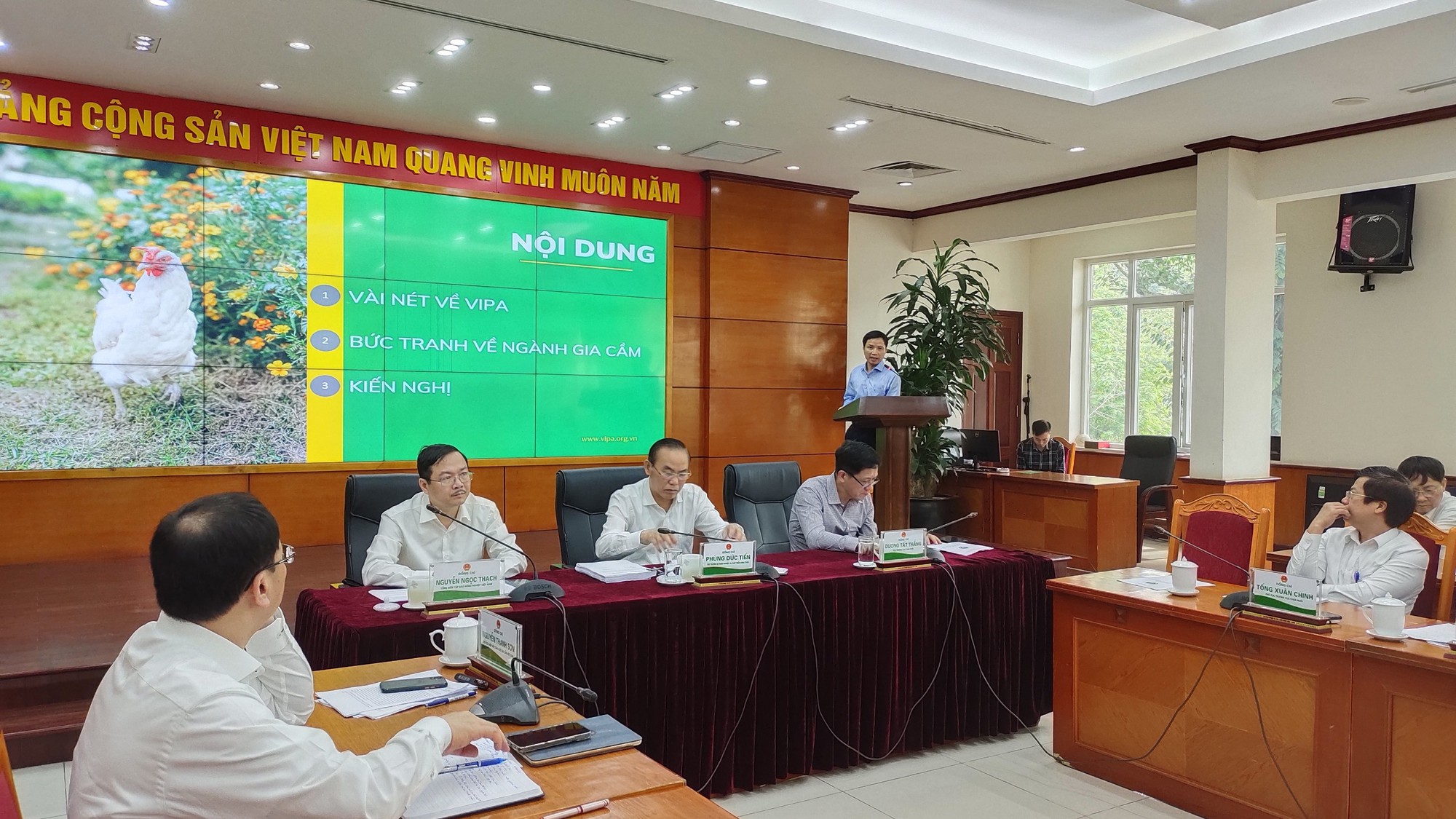 Gà thải loại &quot;đi bộ&quot; từ Thái Lan, qua Campuchia vào Việt Nam giá siêu rẻ, người chăn nuôi trong nước kêu trời - Ảnh 2.