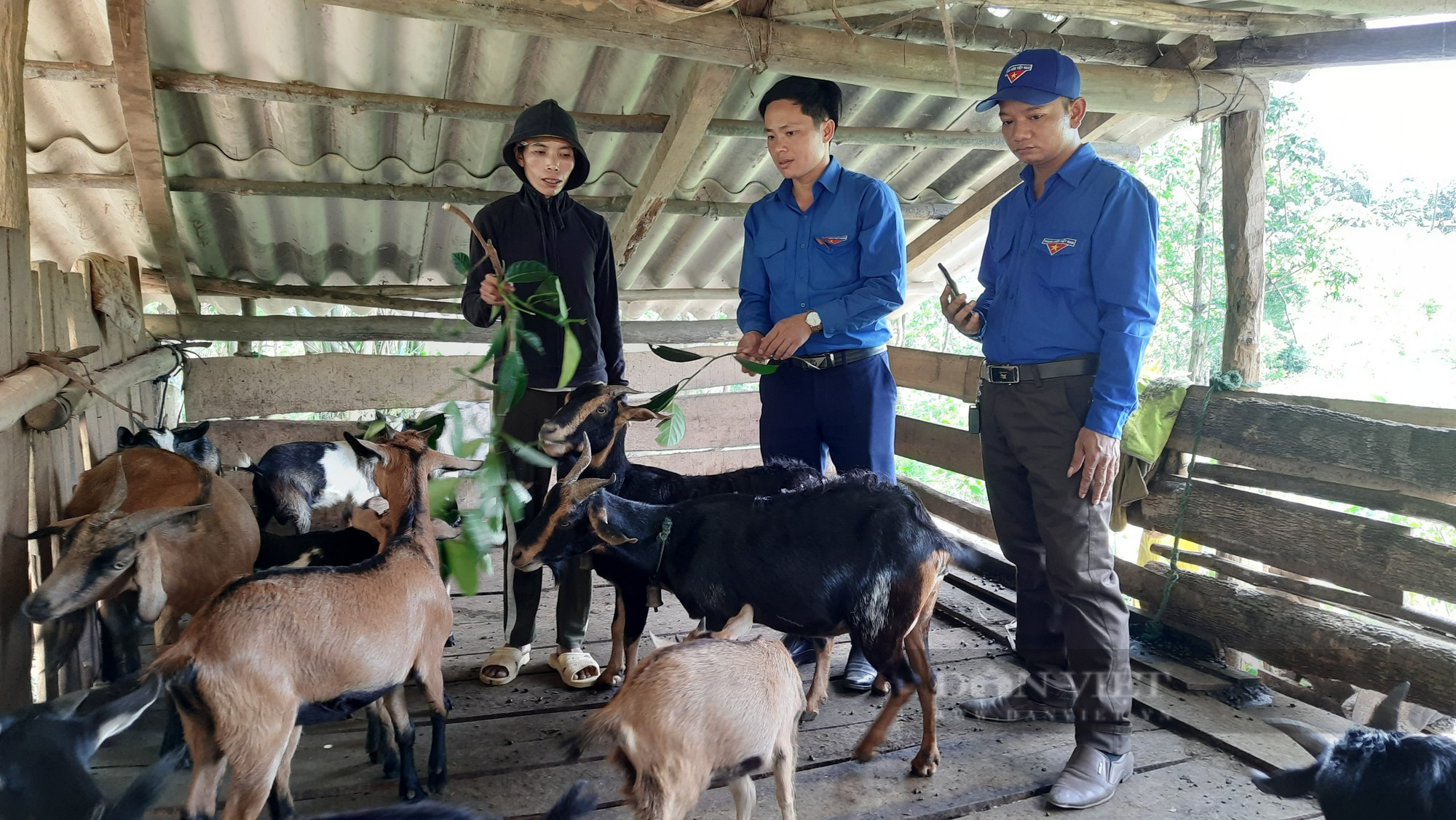Trồng cây ăn quả, chăn nuôi để thoát nghèo - Ảnh 1.