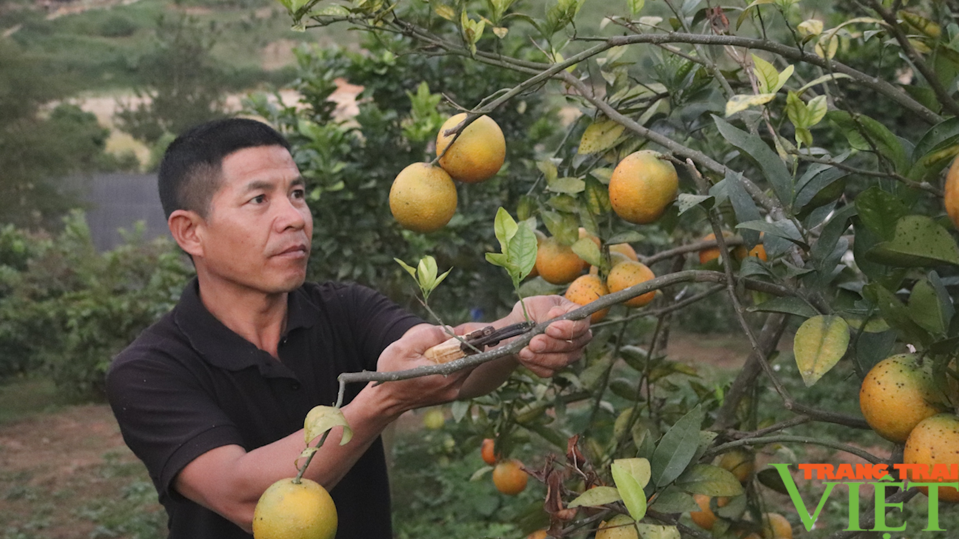 Đổi thay nơi vùng biên giới Sốp Cộp - Ảnh 3. Đổi thay nơi vùng biên giới Sốp Cộp - Ảnh 3.