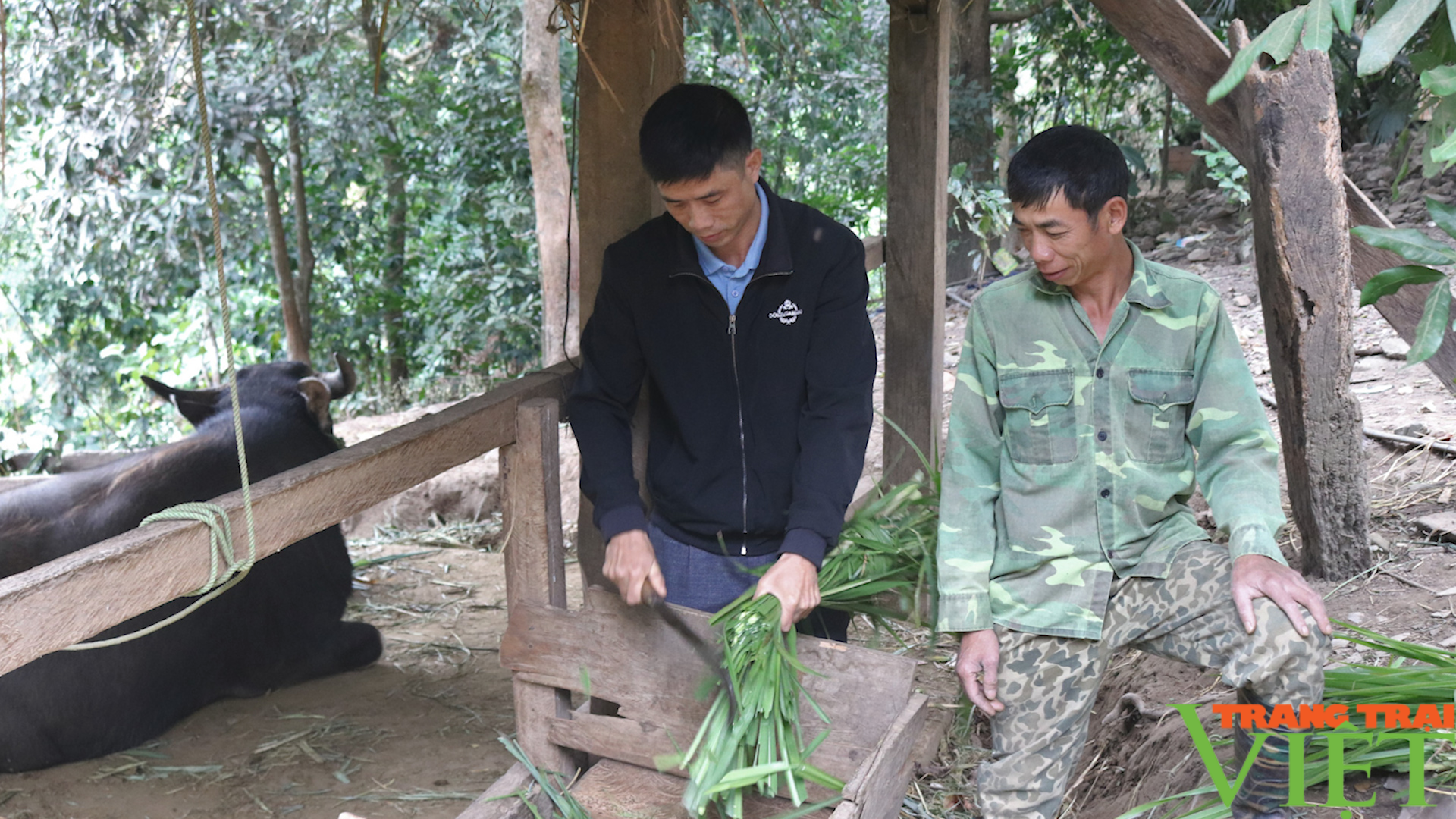Đổi thay nơi vùng biên giới Sốp Cộp - Ảnh 5. Đổi thay nơi vùng biên giới Sốp Cộp - Ảnh 5.