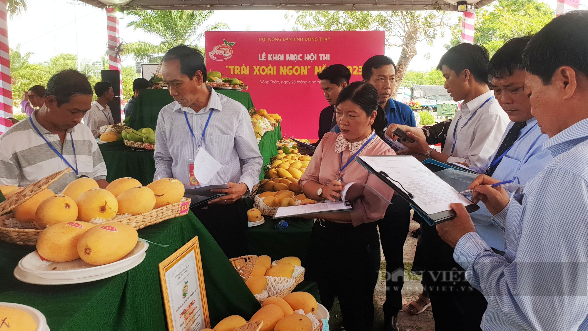Nông dân nào giành giải nhất tại Hội thi trái xoài ngon tỉnh Đồng Tháp năm 2023? - Ảnh 2.